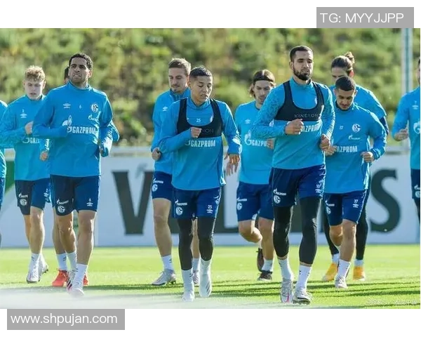 阿尔克马尔与芬洛的对决分析及胜负预测解析