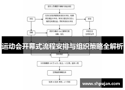 运动会开幕式流程安排与组织策略全解析