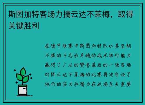 斯图加特客场力擒云达不莱梅，取得关键胜利