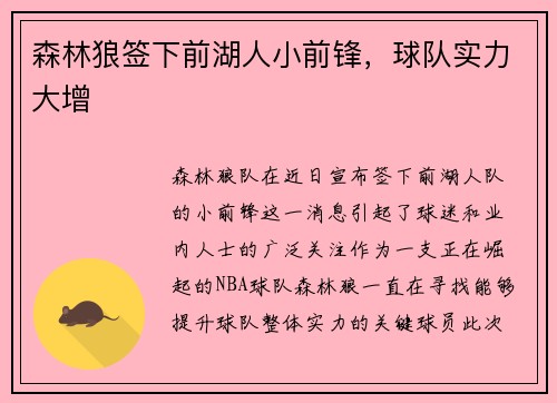 森林狼签下前湖人小前锋，球队实力大增