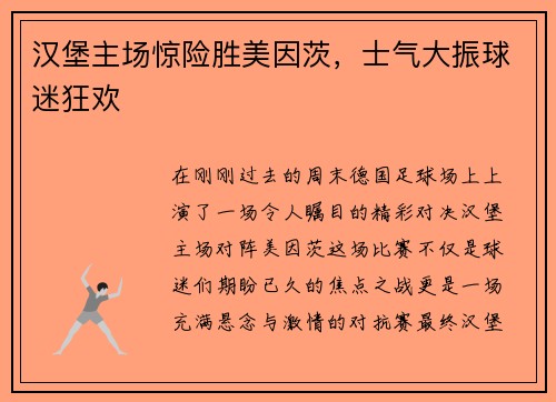 汉堡主场惊险胜美因茨，士气大振球迷狂欢